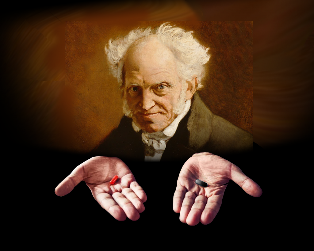 Schopenhauer tasarım olarak dünya