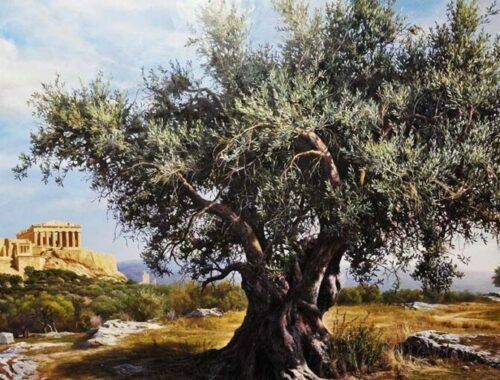 zeytin ağacı sembolü