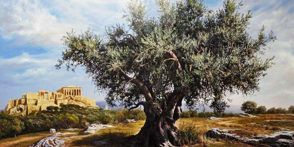 zeytin ağacı sembolü