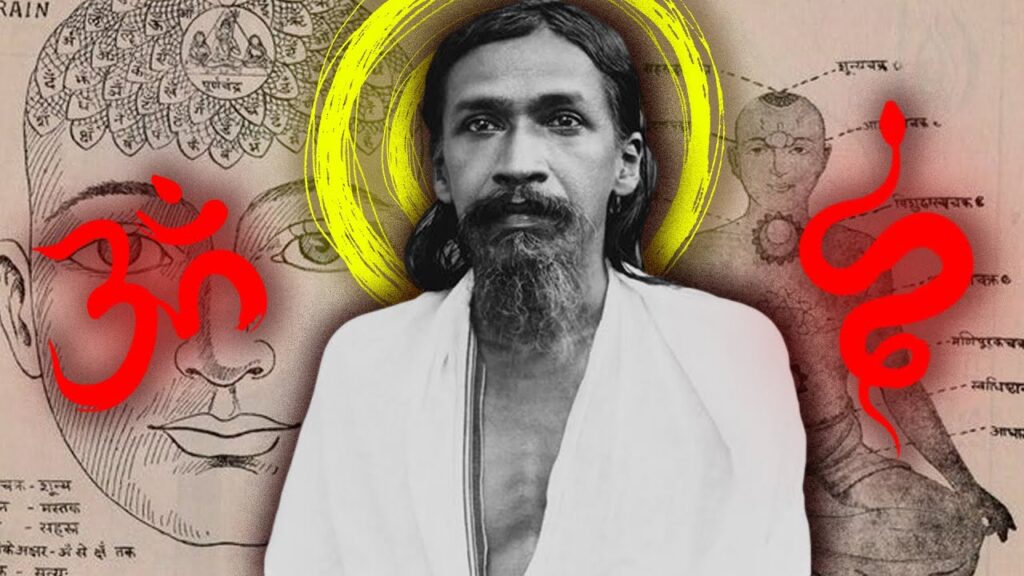 sri aurobindo felsefesi