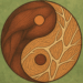 Yin Yoga Fasya