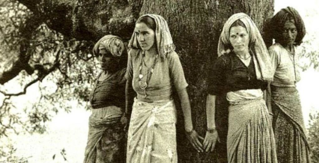 chipko hareketi vandana shiva
